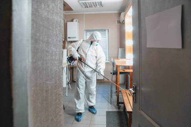 Best Real Estate Mold Inspection  in Cramerton, NC